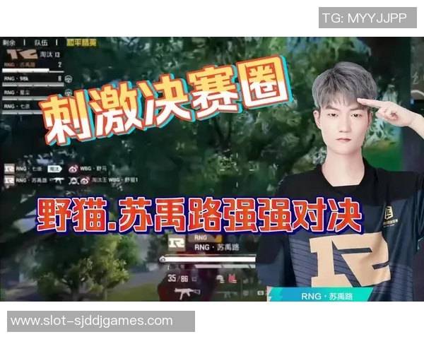 聚焦和平精英RNG战队灵活战术与团队配合的深度解析实时新闻